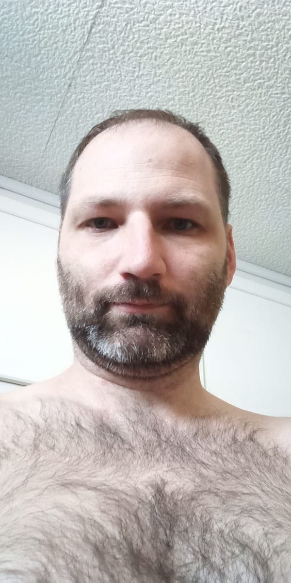 Profil de Faress